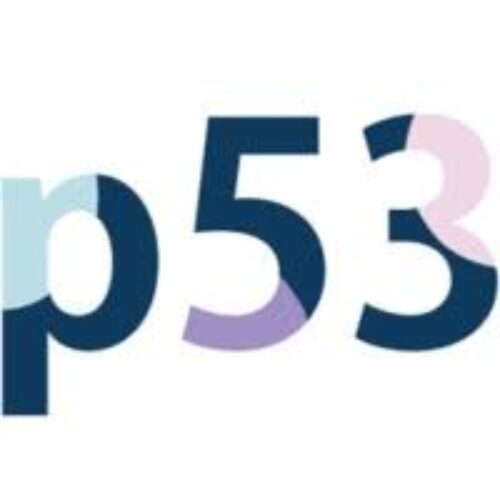 P53
